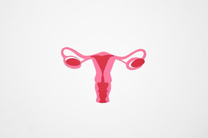 Is Cyst In Ovary Dangerous