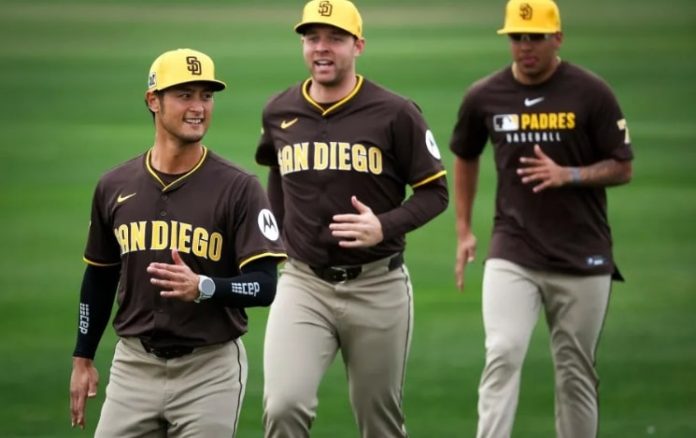 where is san diego padres spring training