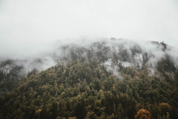 Why Are They Called the Great Smoky Mountains